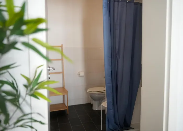 Appartement Altstadt Koblenz (Rhineland-Palatinate)