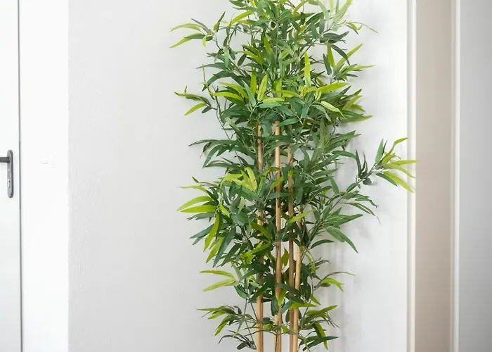 Altstadt * Koblenz (Rhineland-Palatinate)